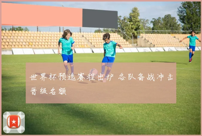 世界杯预选赛程出炉 各队备战冲击晋级名额